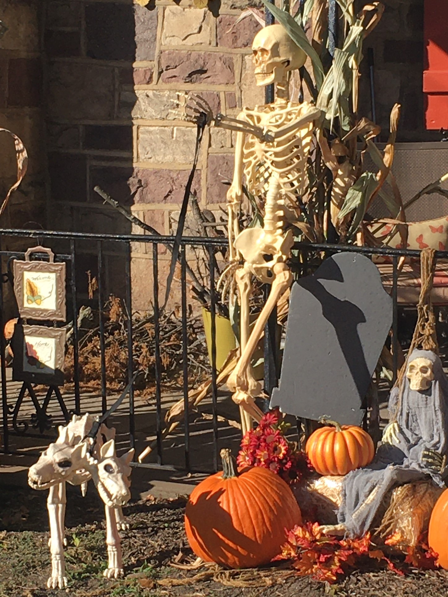 Outdoor Halloween Decorations - FALL INTO HALLOWEEN